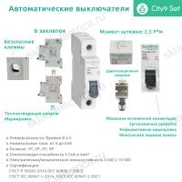 Автоматический выключатель однополюсный С 6А 4.5kA C9F34106 City9 Set