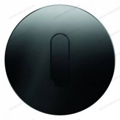 Поворотный выключатель на 2 направления Berker R.classic черное стекло 387500 + 10012055