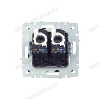 BRITE Розетка компьютерная двойная RJ45 кат.5E РК10-2-БрГ графит IEK