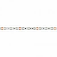 Светодиодная лента RT-B60-10mm 12V Orange (14.4 W/m, IP20, 5060, 5m) (Arlight, Открытый)