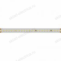 Светодиодная лента IC 2-50000 48V Cool 8K 12mm (2835, 144 LED/m, LUX) (Arlight, 5.8 Вт/м, IP20)