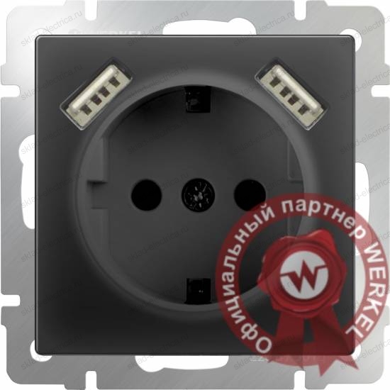 Розетка с заземлением, шторками и USBх2 черная матовая Werkel W1171508